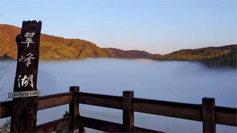 根本仙境！太平山翠峰湖雨後絕景　可遇不可求「飄渺雲海」網看入迷