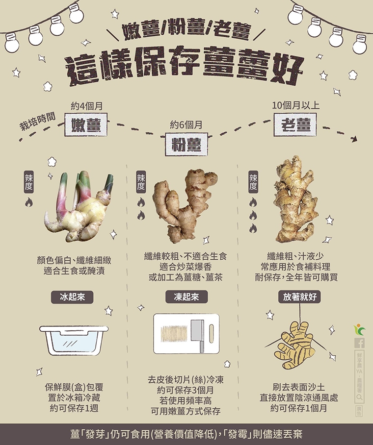 婆媽注意!薑怎麼保存才對? 農糧署:這種不必放冰箱