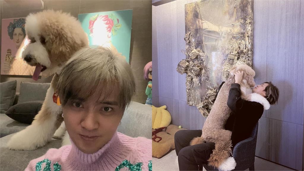 羅志祥愛犬見「朱碧石」崩潰吠叫！嚇到「漏尿狂逃」49秒搞笑畫面曝
