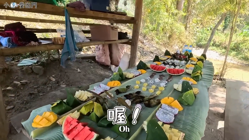 一晚破7千元!網紅遊泰國體驗特色住宿 幫大象洗澡、玩水超歡樂