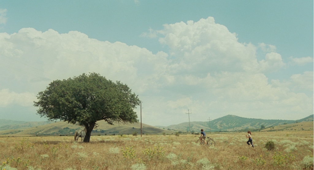 一部探索紀錄與劇情之間的魔幻地帶的電影《地平線上．炙熱之夏》