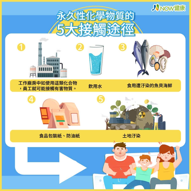 衛生紙竟潛藏PFAS有害物質！ 專家：長期接觸恐致癌