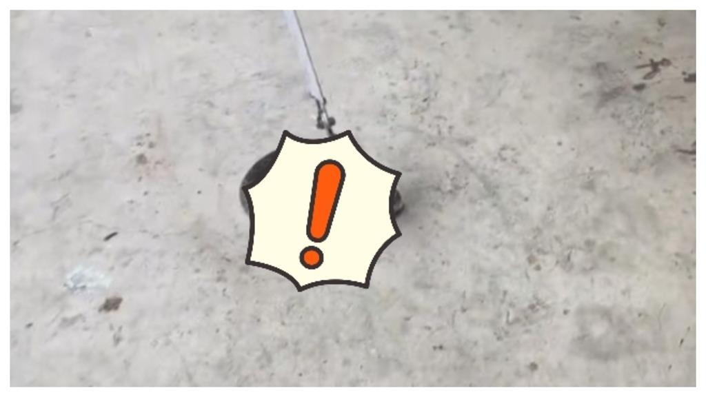 出遊當心！南投蛇類單月通報破258件　疾管署「五要五不」一次看