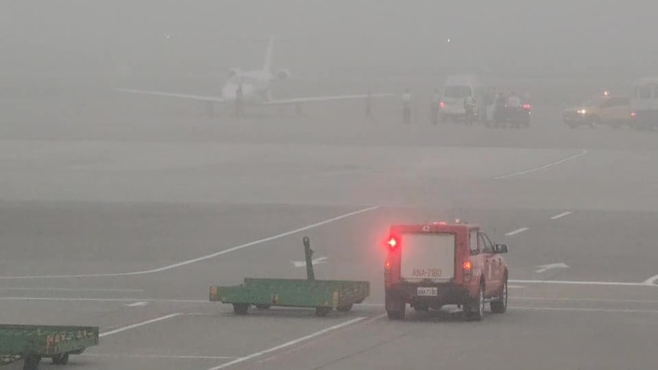 快新聞/畫面曝光!澳洲交換生誤食老鼠藥 清晨搭醫療專機返國