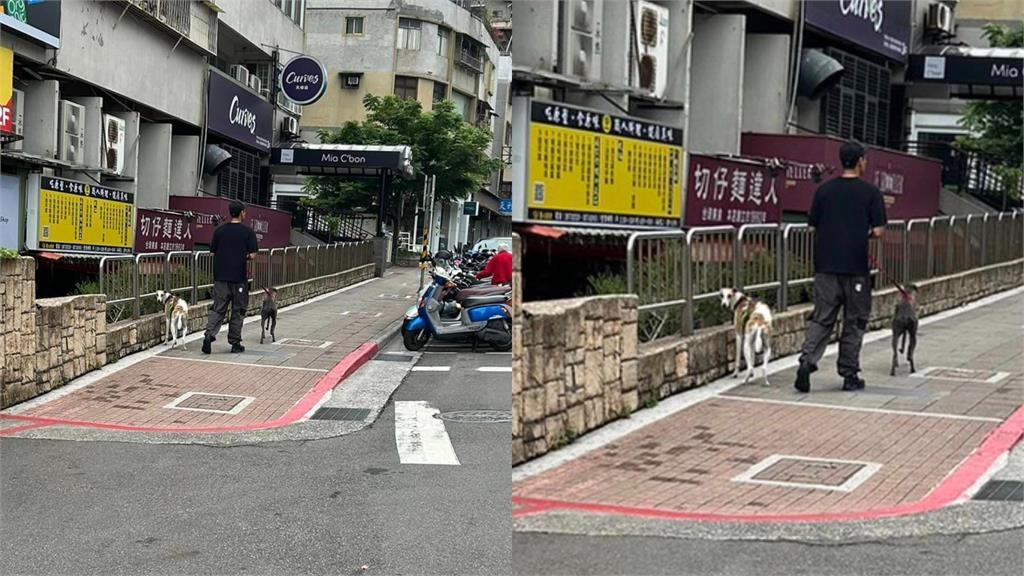 捕獲野生彭于晏大街上遛狗！親民「1舉動」電暈網：天母真男神