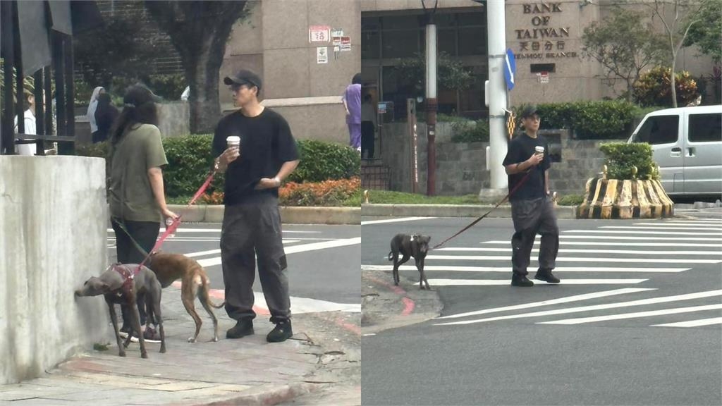 捕獲野生彭于晏大街上遛狗！親民「1舉動」電暈網：天母真男神