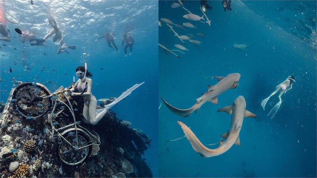 護理系女神潛水「慘遭鯊魚咬一口」！辣穿比基尼遇襲…手臂傷勢曝光