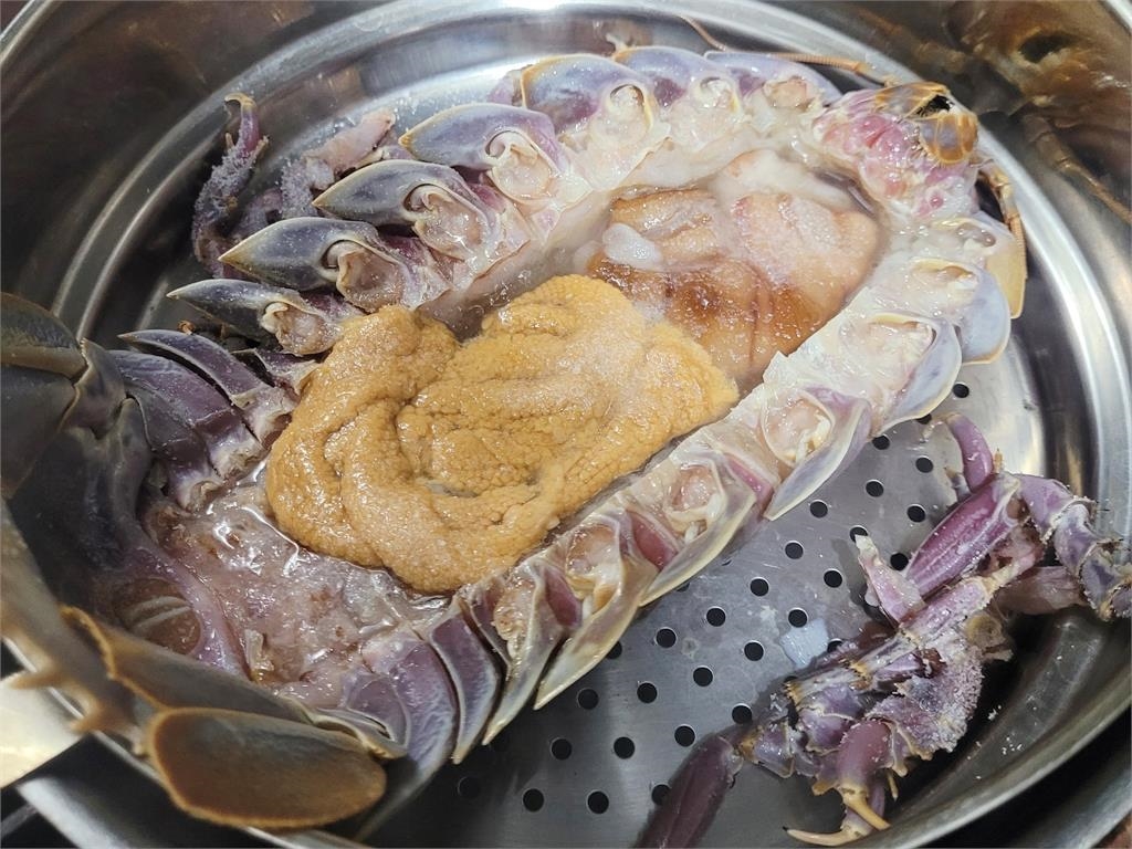 大王具足蟲外觀太衝擊!自然老師揭驚人身世:近親就是海蟑螂