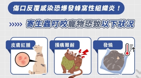 毛孩重複做「1動作」恐是蜂窩性組織炎！ 獸醫呼籲：定期驅蟲守護飼主與毛孩健康