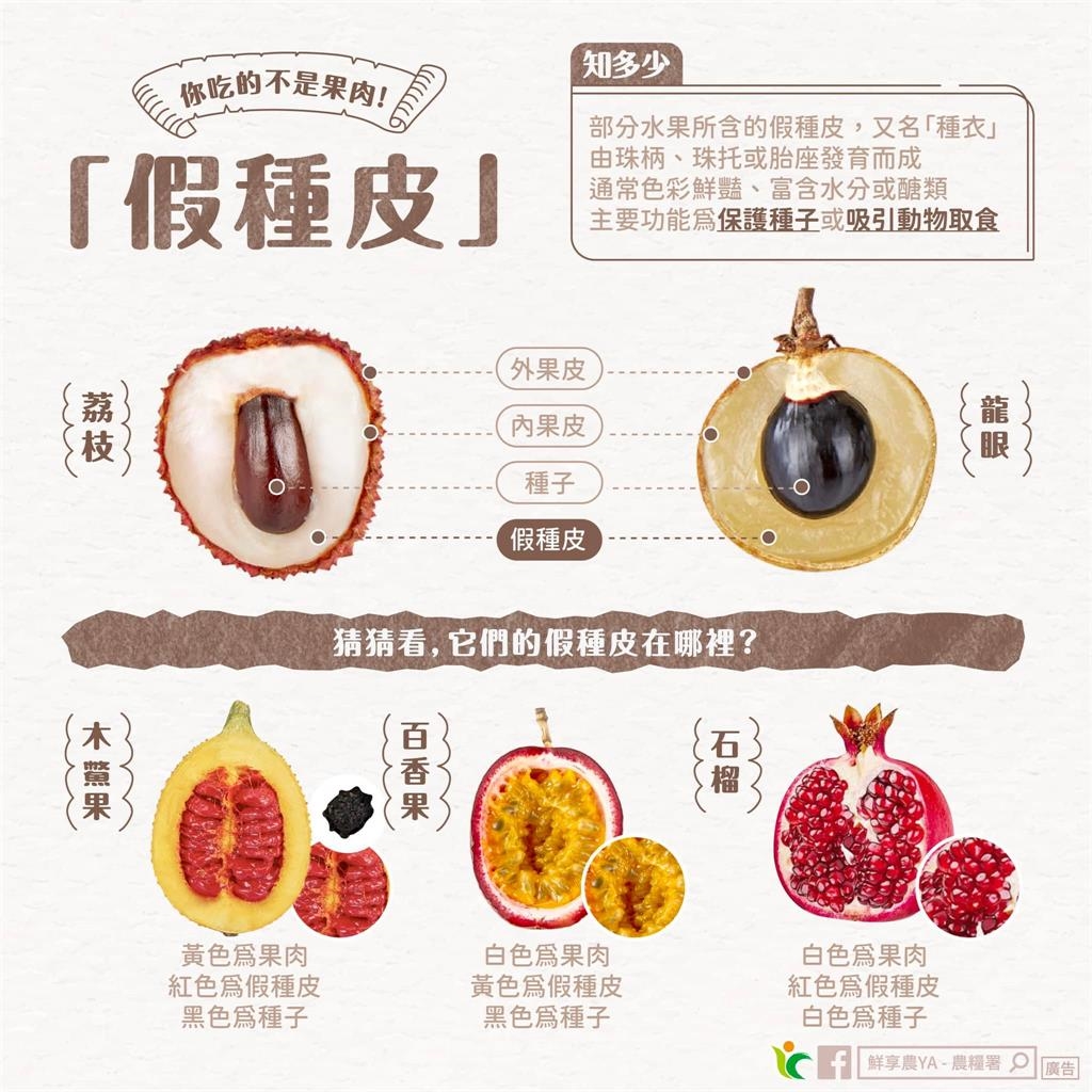 夏季「養顏聖品」荔枝吃的是果皮？農糧署告訴你「真相」