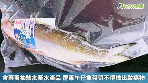 食藥署抽驗禽畜水產品 屏東午仔魚殘留不得檢出致癌物