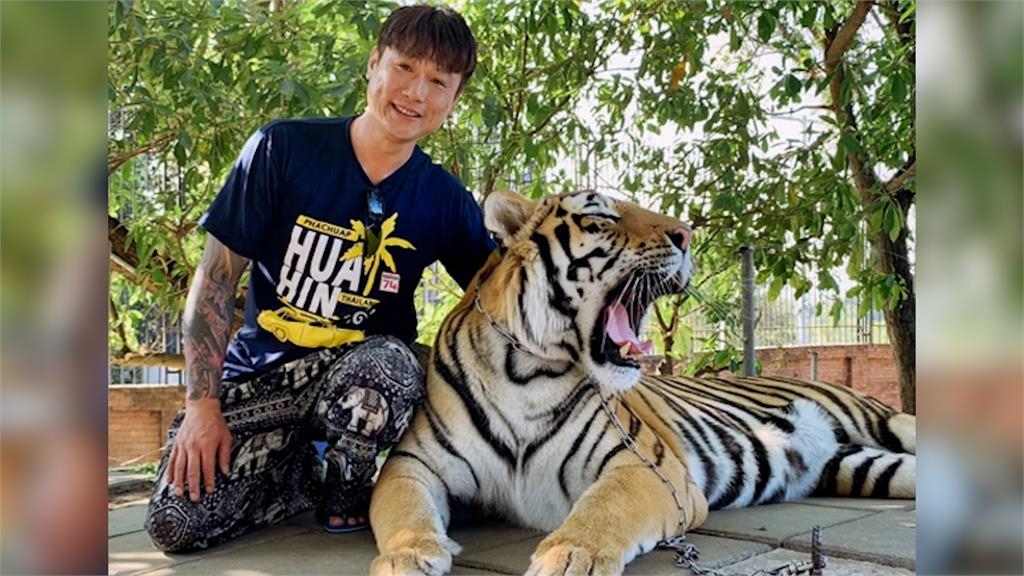 男挑戰0距離與老虎合影　微笑比YA「遭咬頭」狂驚叫