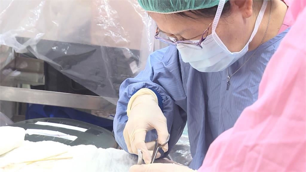 解決雲林長者就醫困難 「傷口魔術師」擴大服務、走入家中