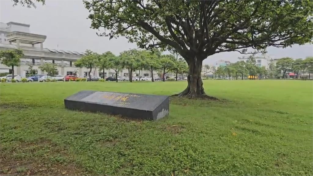 奇景！ 台南新營民治中心 草皮遍地開菇