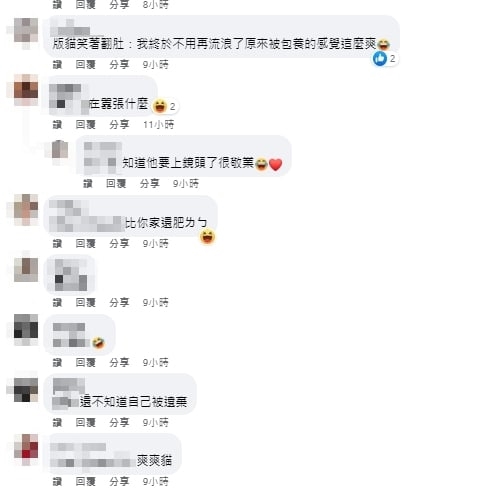 新北「超Chill胖橘貓」遭棄養!嘲諷神情吸6千人朝聖:好像加菲貓