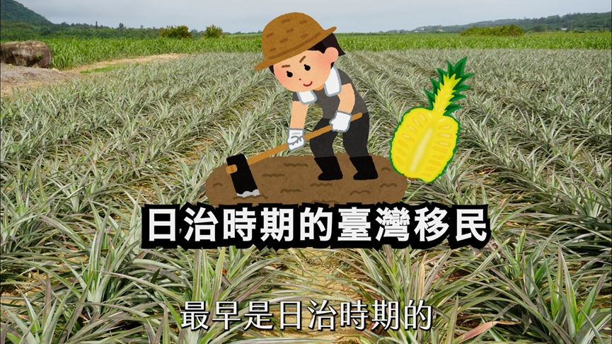 石垣島不只郵輪觀光!作家揭台灣女工歷史 網驚呼:好珍貴的紀錄