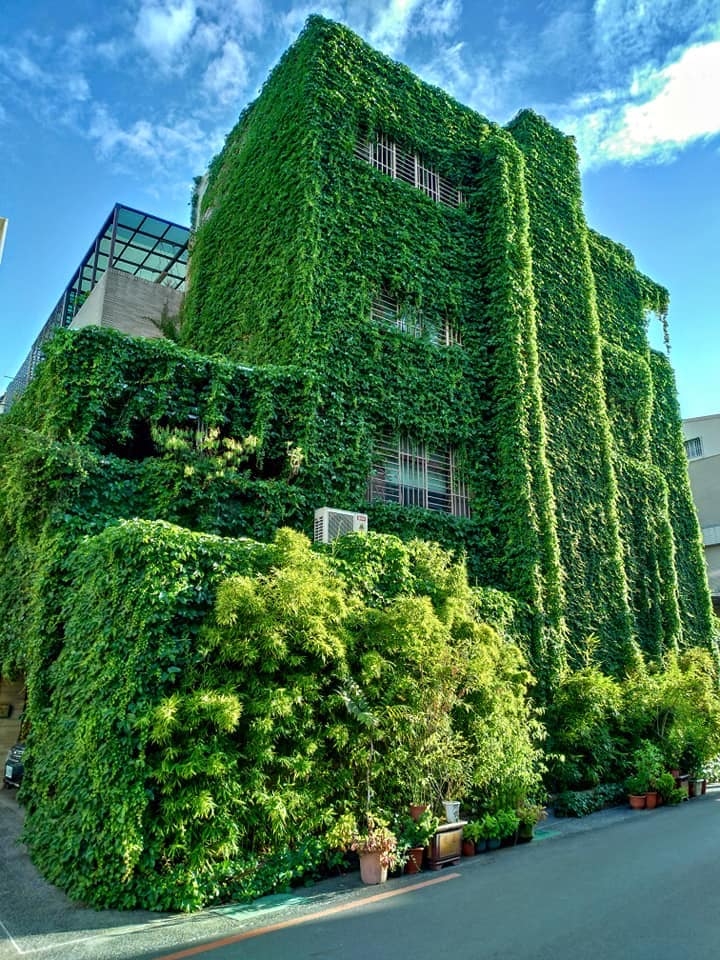 台南這間透天厝「外觀都是草」…海葵襲來後「直接禿頭」　屋主吐心聲