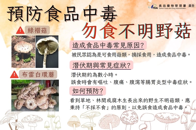 誤食毒菇恐狂吐、大血便！應遵守這原則 預防食物中毒