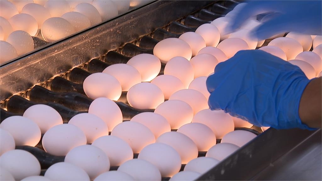 巴西進口蛋風波延燒　陳吉仲親上火線說明