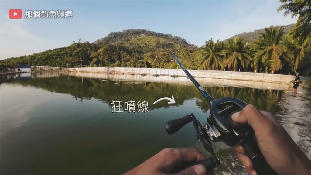 魚比人大！達人怪物池釣27公斤巨獸　驚曝咬鉤感覺：像被拳頭打到