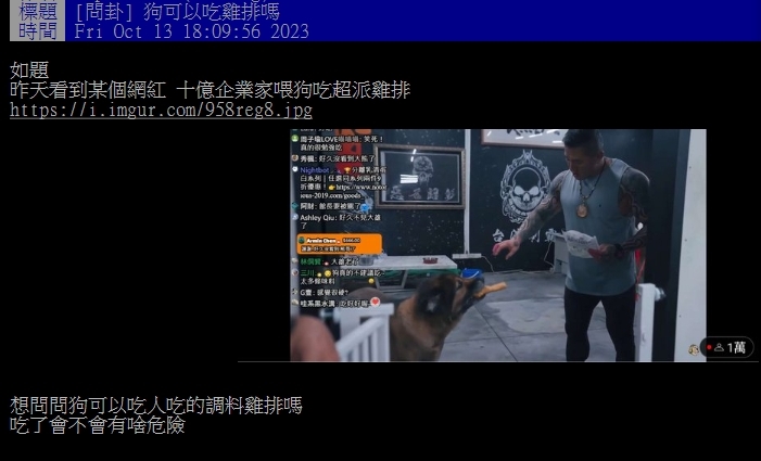 館長餵愛犬吃「超派炸雞」挨轟!內行人曝慘痛隱憂:雞骨有腸穿刺危險