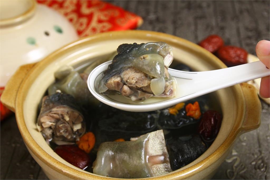 想像台灣/台灣鱉有生食級的有機認證?9成外銷日本搶翻天!