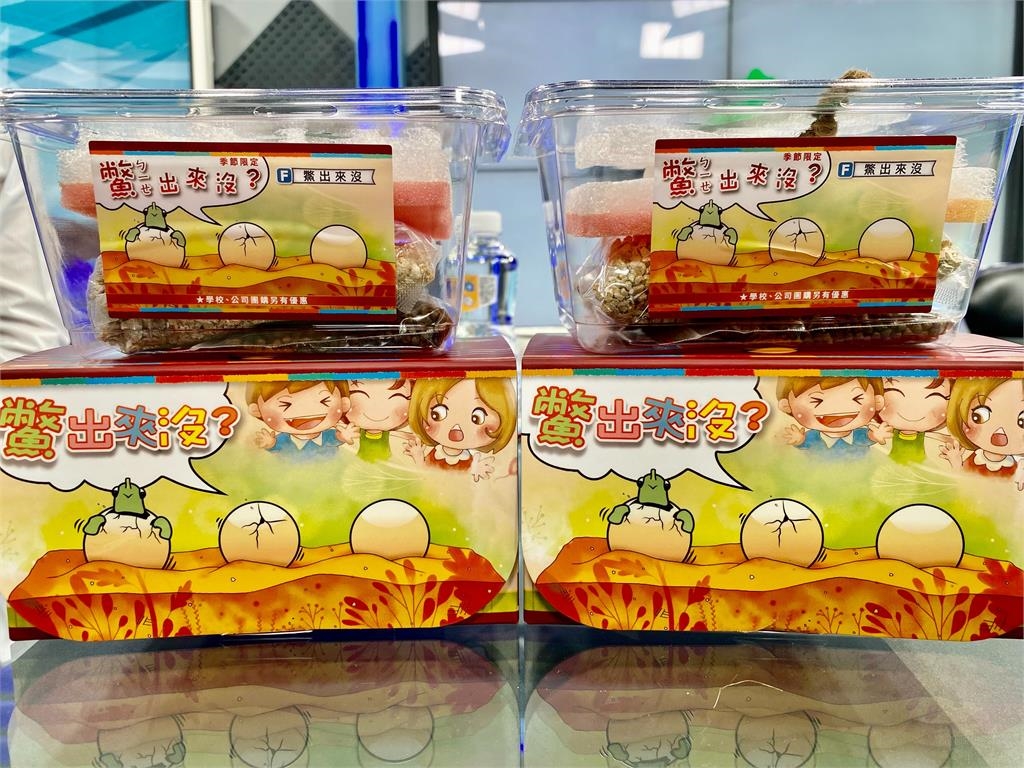 想像台灣/台灣鱉有生食級的有機認證?9成外銷日本搶翻天!