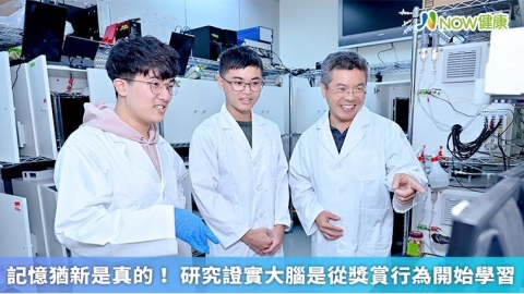 記憶猶新是真的! 研究證實大腦是從獎賞行為開始學習