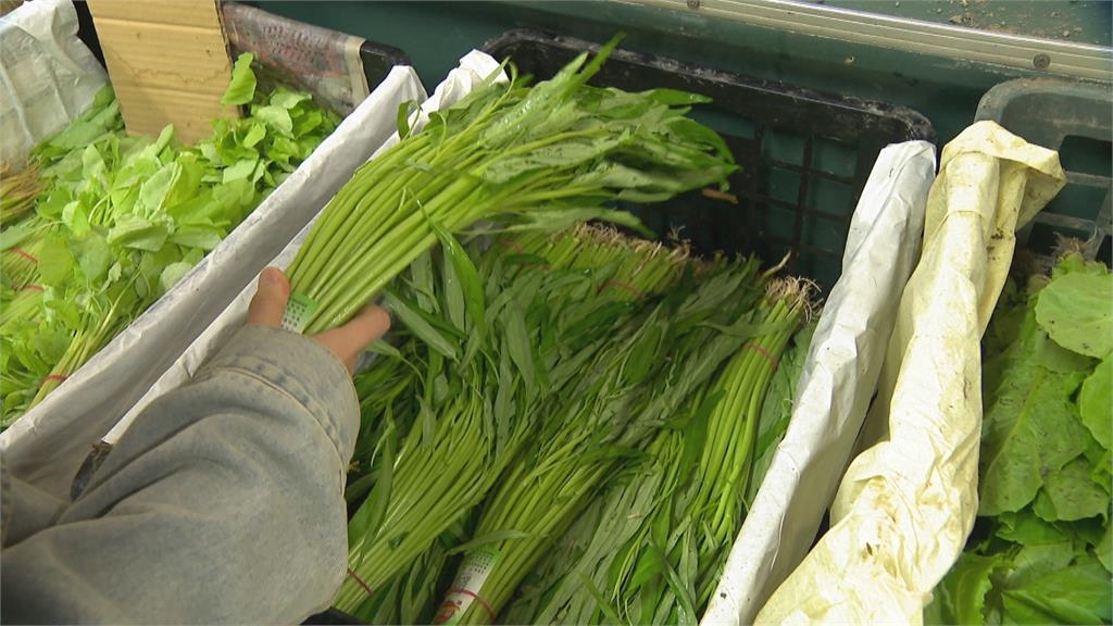 蚵仔煎最頂配菜?4種蔬菜「口感脆甜」 網點名「它」最怪:邪魔歪道