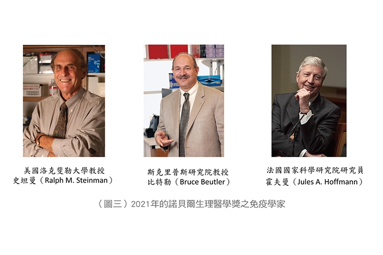 【名醫開講】張金堅：解析捍衛身體的免疫軍團