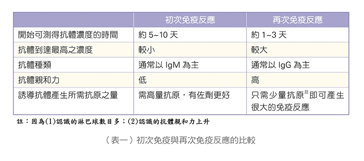 【名醫開講】張金堅：解析捍衛身體的免疫軍團