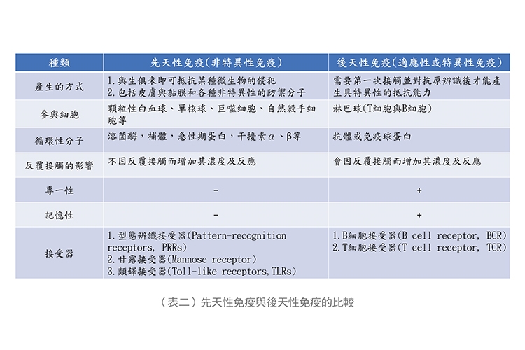 【名醫開講】張金堅：解析捍衛身體的免疫軍團