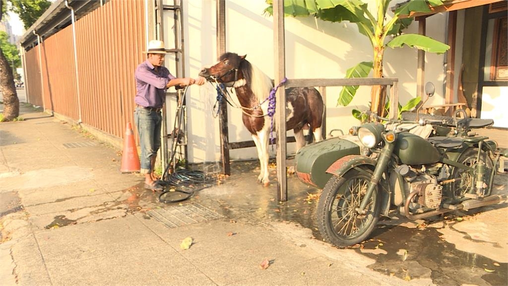 劍道館老闆愛馬成痴　「騎馬兜風」成台中特殊風景