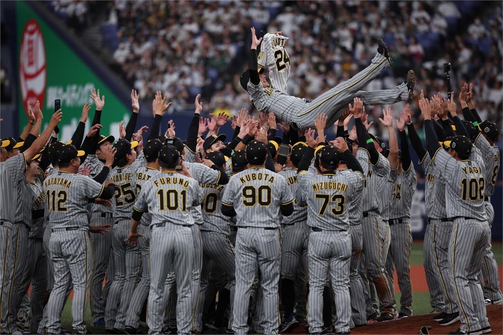 阪神虎睽違38年奪「日本一」嗨炸!正妹辣著「貼身死庫水」跳道頓堀川