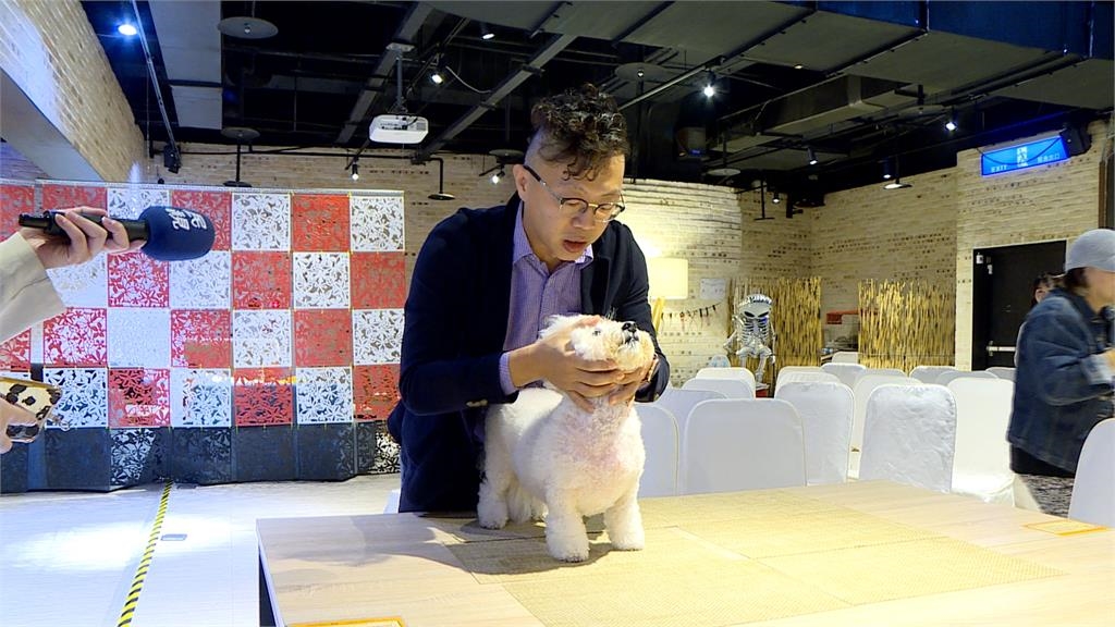 一顆心絲蟲預防藥７百　飼主這樣因應寵物鉅額醫療費