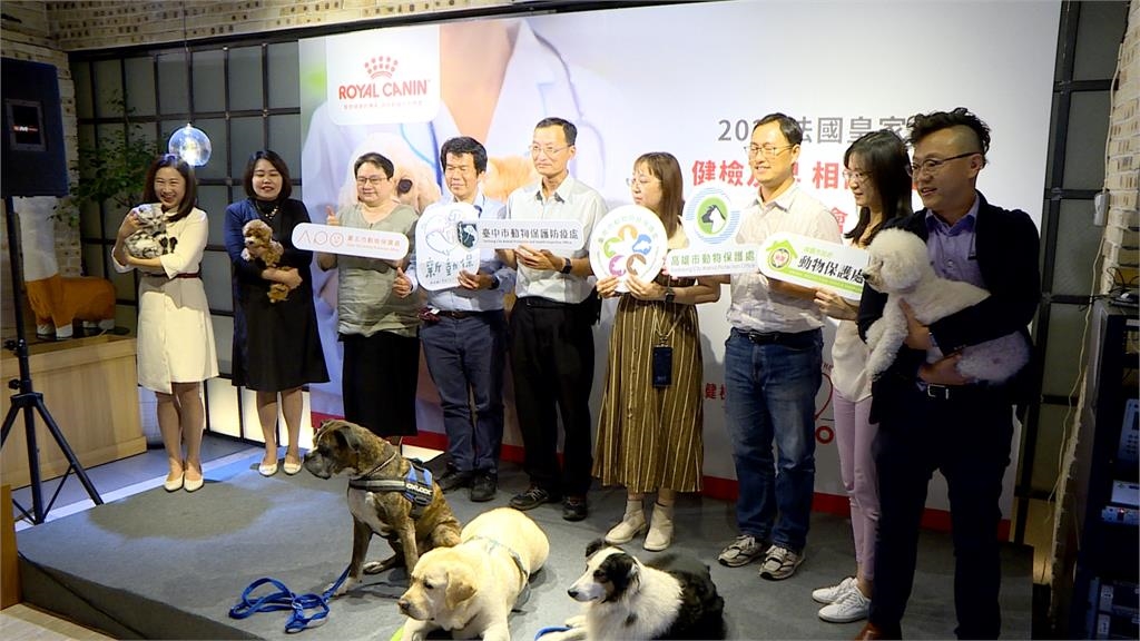一顆心絲蟲預防藥７百　飼主這樣因應寵物鉅額醫療費