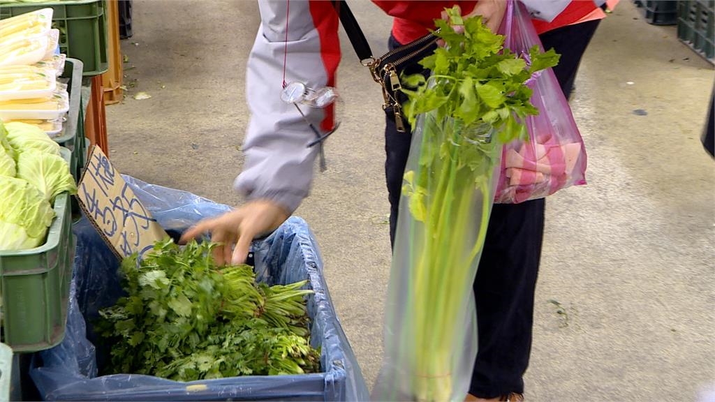 菜價終於跌了！高麗菜均價剩一半　民眾有感：買菜至少省500元