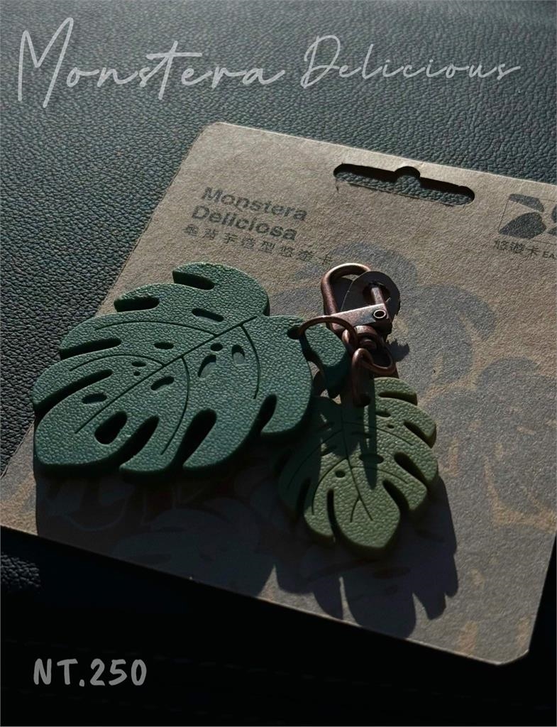 快新聞／公車司機別難過！「巨大悠遊卡」真的來了　即使起開放預購