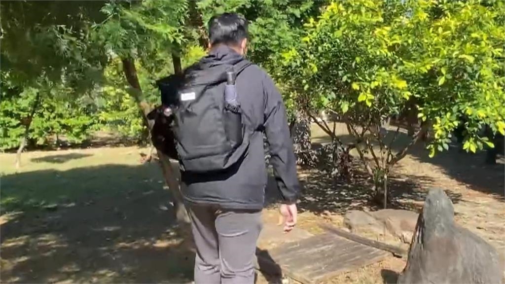 攀鳶嘴稍來山「熊熊遇見你」 台灣黑熊爬坡回頭瞄山友