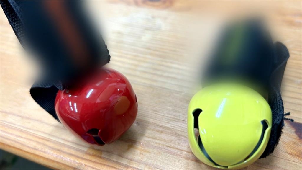 攀鳶嘴稍來山「熊熊遇見你」 台灣黑熊爬坡回頭瞄山友