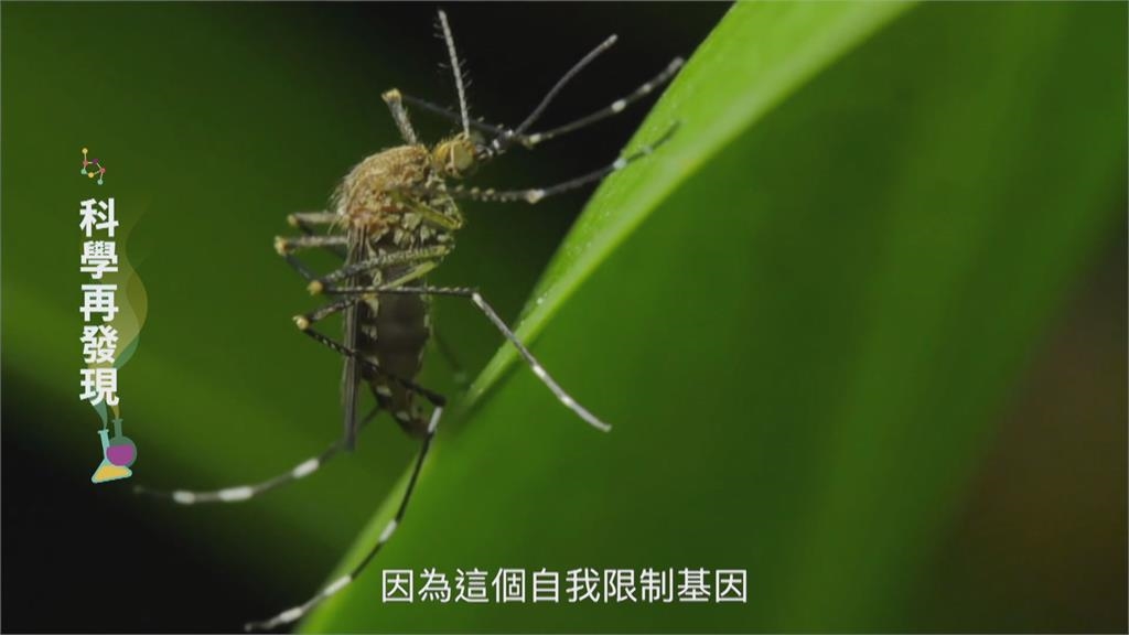 生物技術逐年進步 如何共存引發討論