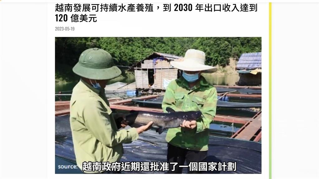 網傳巴沙魚食安爭議？美食家曝3道越南𩷶鯰在地好味　讚嘆：魂縈夢牽