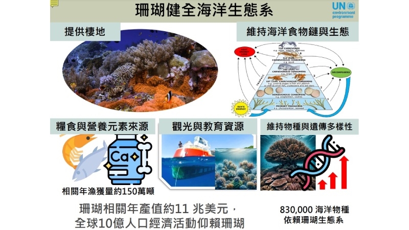 鈣鐵供應量大跌、癌藥缺原料　竟跟珊瑚礁有關？　