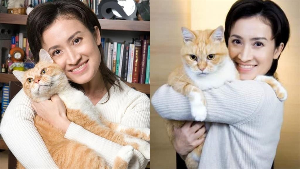 蕭美琴「超猛素描技能」被挖出！實力輾壓陳其邁「貓奴黨內互打」網笑歪：太狠了