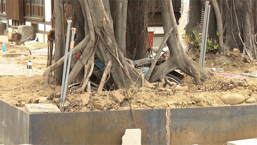 台中國漫館奇特景象曝光！　機車被「樹怪」吃掉