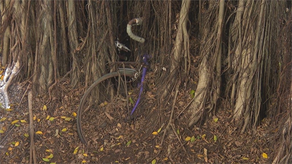 台中國漫館奇特景象曝光！　機車被「樹怪」吃掉