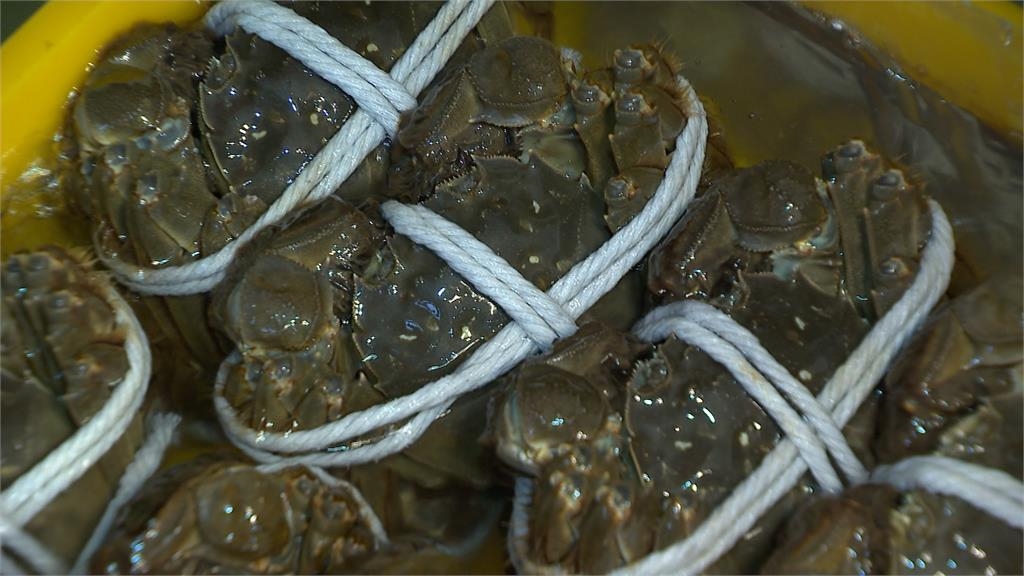 今年暖冬影響!大閘蟹產季晚一個月 這原因導致價格漲