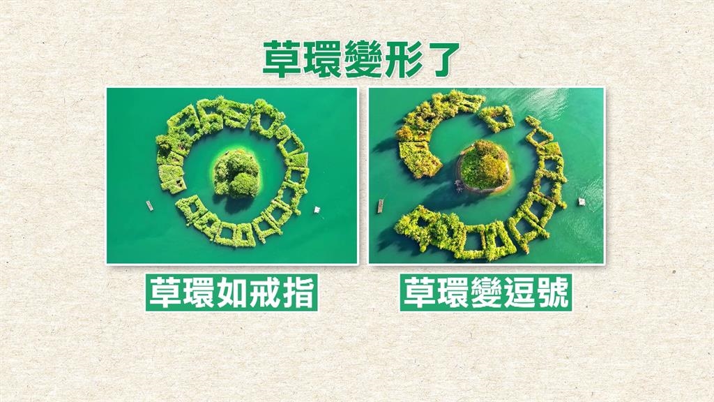 日月潭「拉魯島」草環變逗號? 日管處:不排除人為破壞|四季線上4gTV