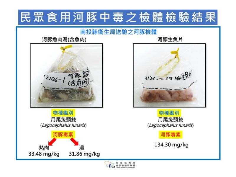 南投食河豚中毒案檢驗出爐!「月尾兔頭魨」釀禍 最毒生魚片2片就可致死
