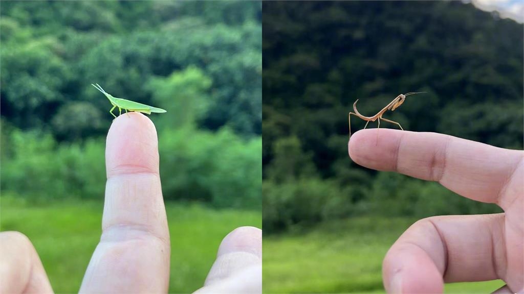 吳奇隆甩婚變傳聞!打高爾夫自拍「狂曬奈米小可愛」4千萬粉瘋看:過分帥氣